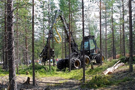 sallan yhteismetsä|Sallan yhteismetsästä myynnissä ”poikkeuksellisen。